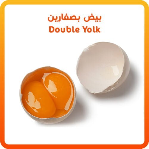 30 Double yolk White eggs Omelette